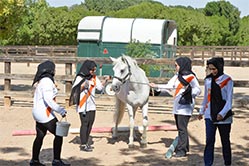 self development UAE