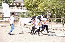 self development UAE
