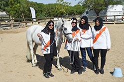 training horses UAE