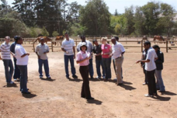 self development and horses
